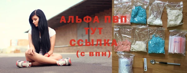 спиды Богданович