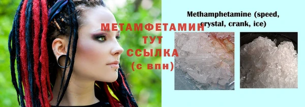 спиды Богданович