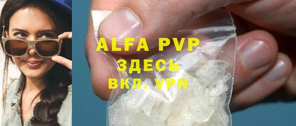 спиды Богородицк