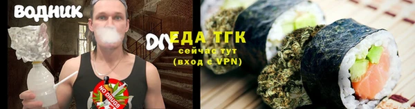 спиды Богородицк
