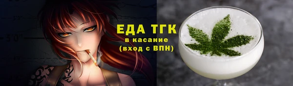 спиды Богородицк