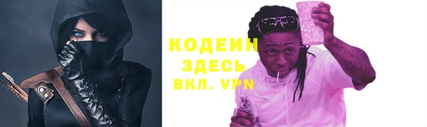 спиды Богородицк