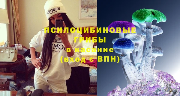 спиды Богданович