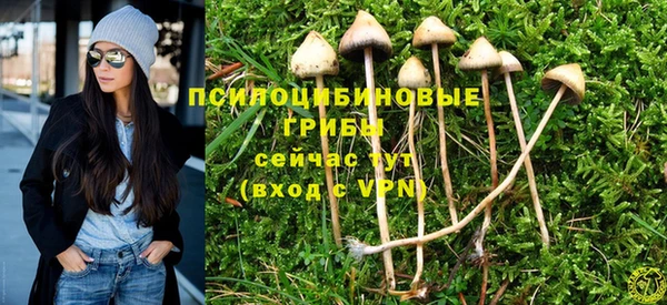 спиды Богданович