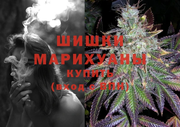 спиды Богородицк