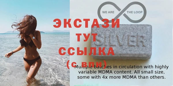 спиды Богородицк