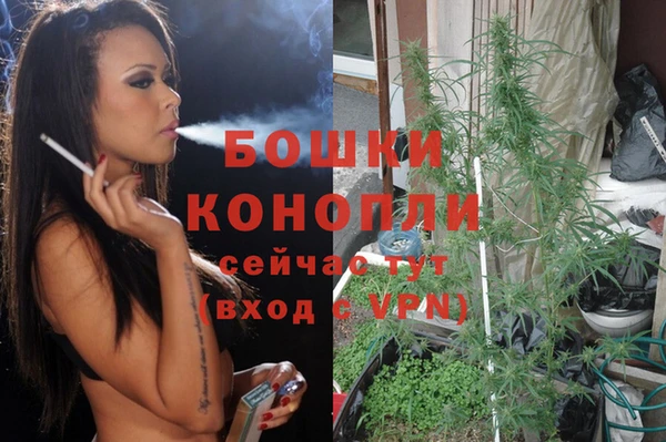 спиды Богданович